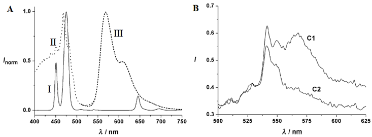 Theranostics Image