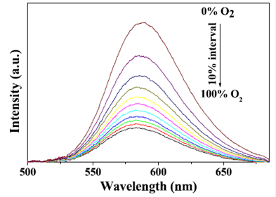 Theranostics Image