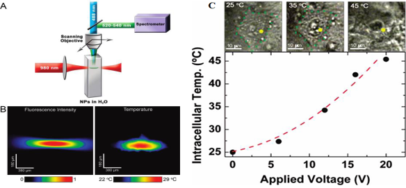 Theranostics Image