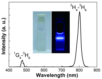 Theranostics Image