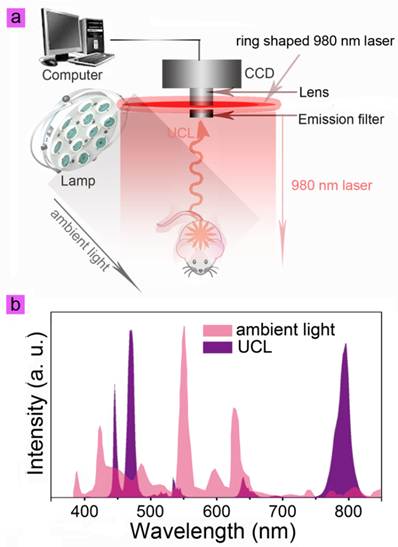 Theranostics Image