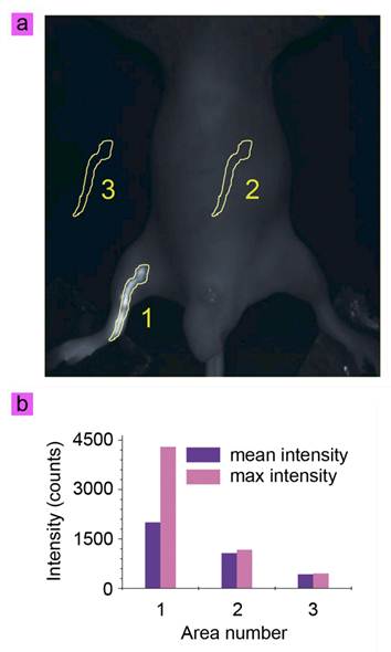 Theranostics Image