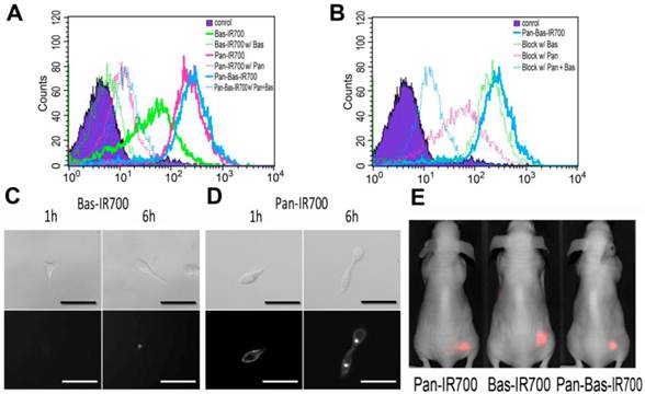 Theranostics Image