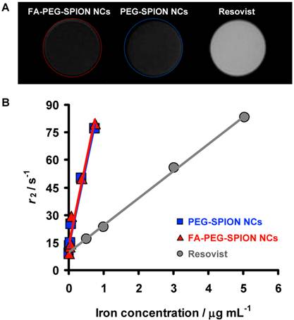 Theranostics Image