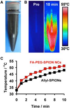 Theranostics Image