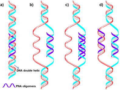 Theranostics Image