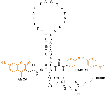 Theranostics Image