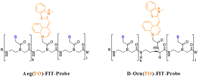 Theranostics Image