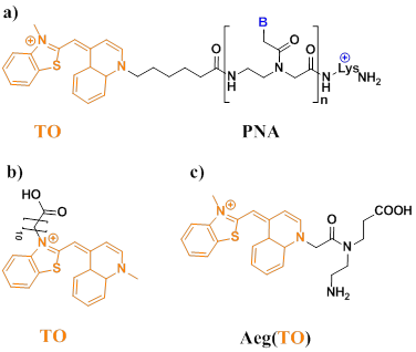 Theranostics Image