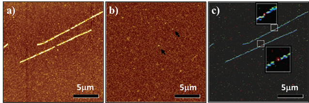 Theranostics Image