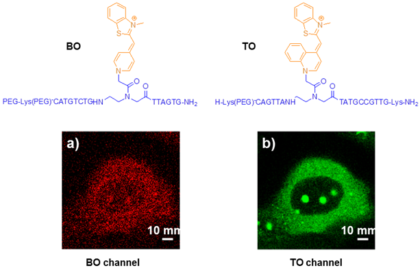 Theranostics Image