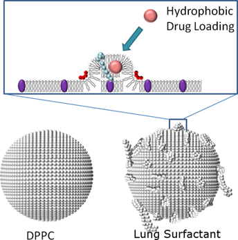 Theranostics Image