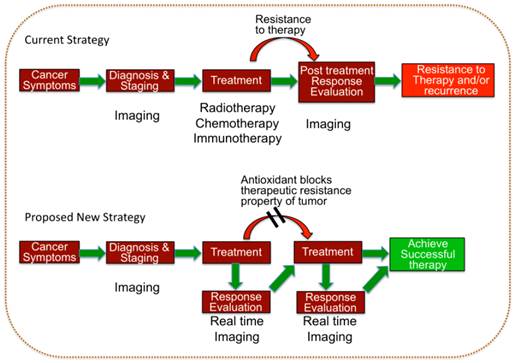 Theranostics Image