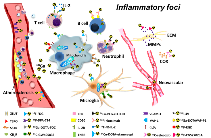 Theranostics Image