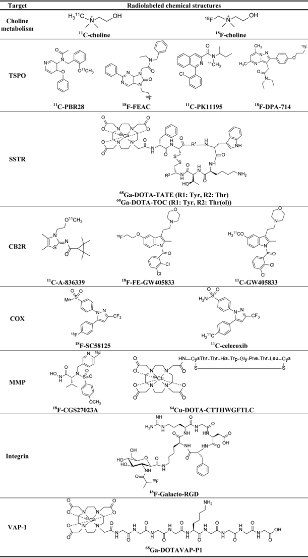 Theranostics Image