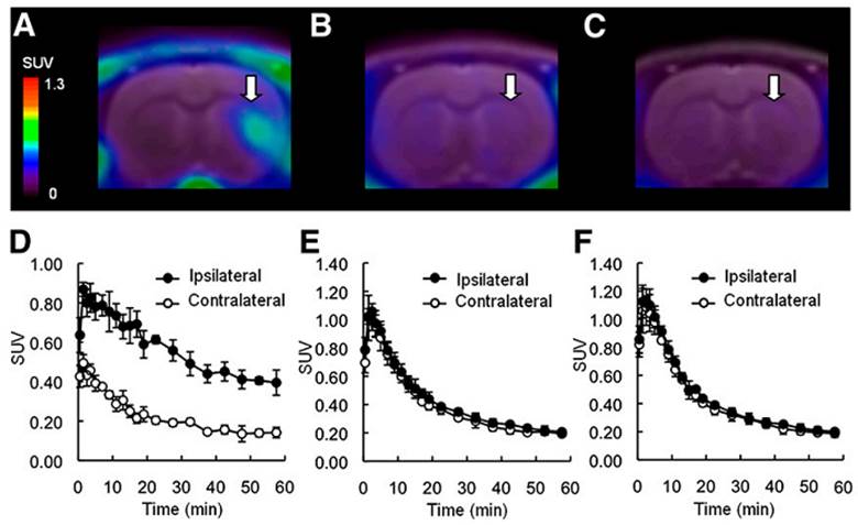 Theranostics Image