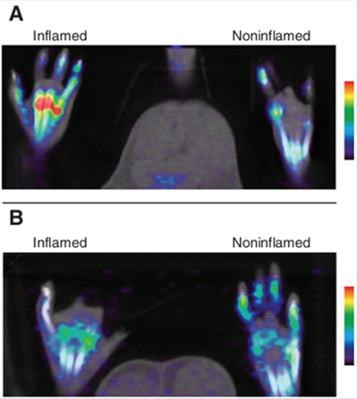 Theranostics Image