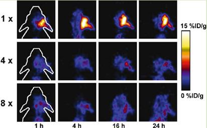 Theranostics Image