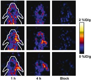 Theranostics Image