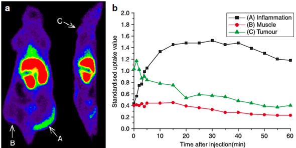 Theranostics Image