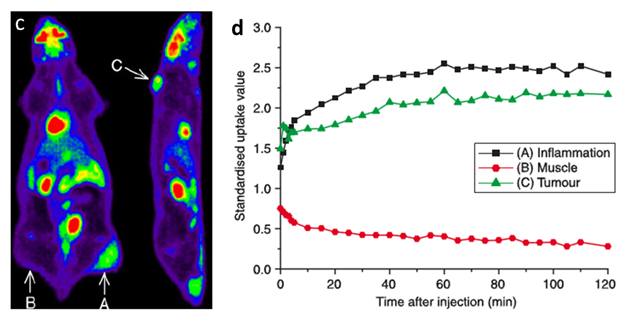 Theranostics Image