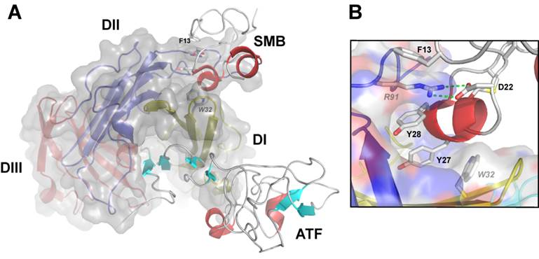 Theranostics Image