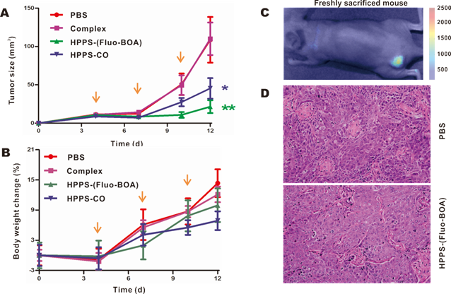 Theranostics Image