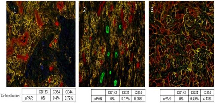 Theranostics Image