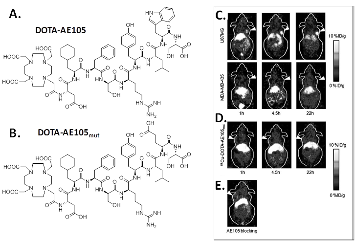 Theranostics Image