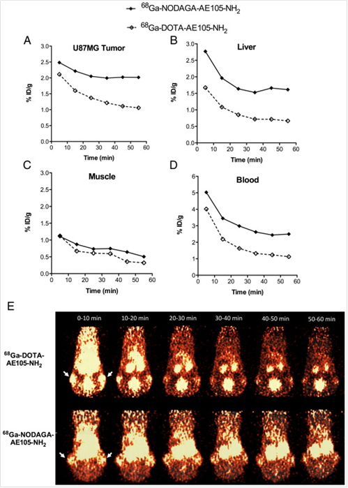 Theranostics Image