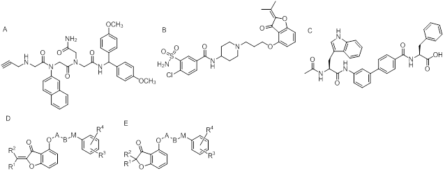 Theranostics Image