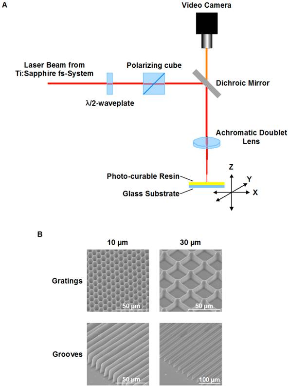 Theranostics Image