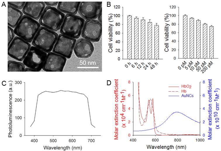 Theranostics Image