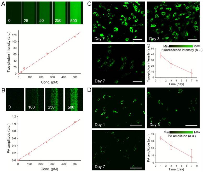 Theranostics Image