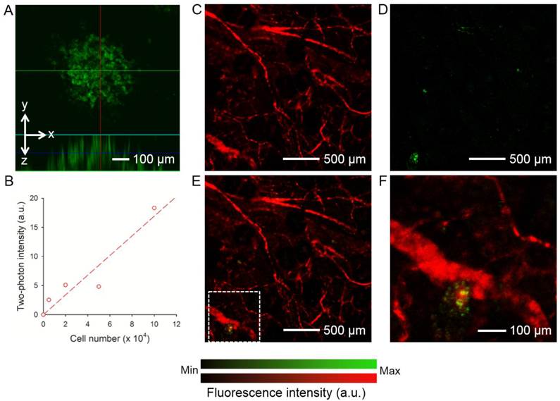 Theranostics Image