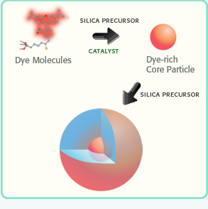 Theranostics Image