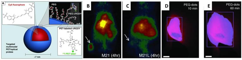 Theranostics Image