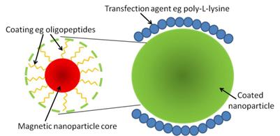 Theranostics Image