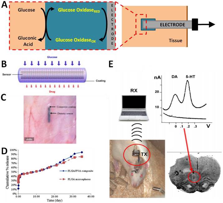 Theranostics Image