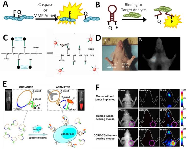 Theranostics Image