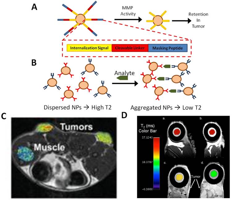 Theranostics Image