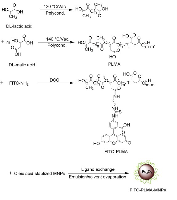 Theranostics Image