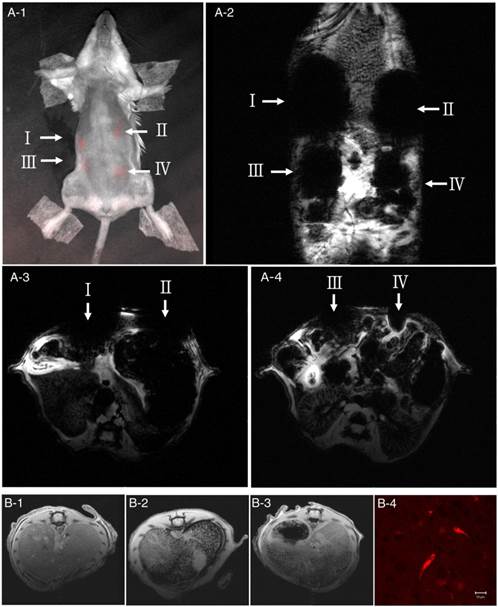 Theranostics Image