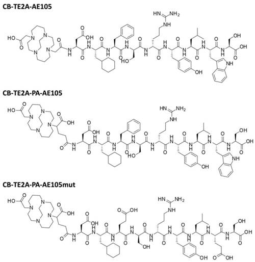 Theranostics Image