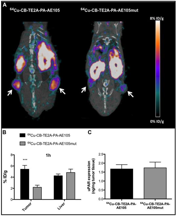 Theranostics Image