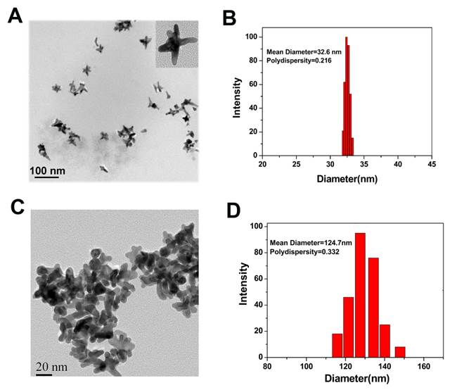 Theranostics Image