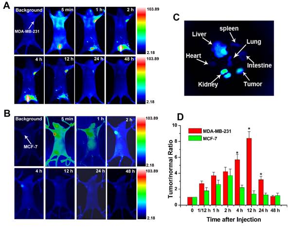 Theranostics Image