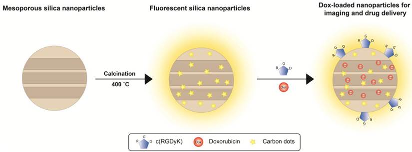 Theranostics Image