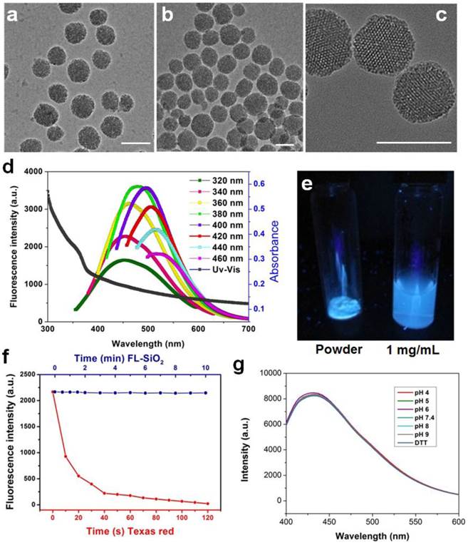 Theranostics Image