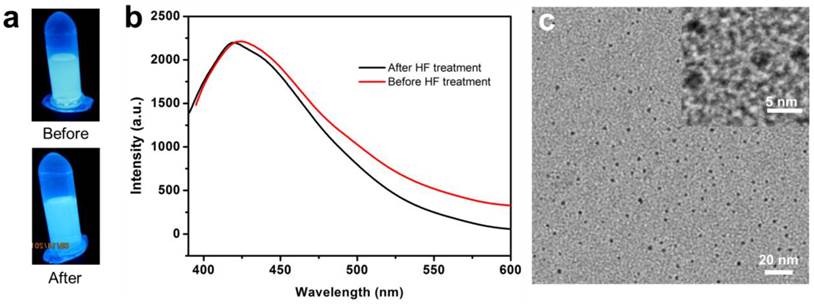 Theranostics Image